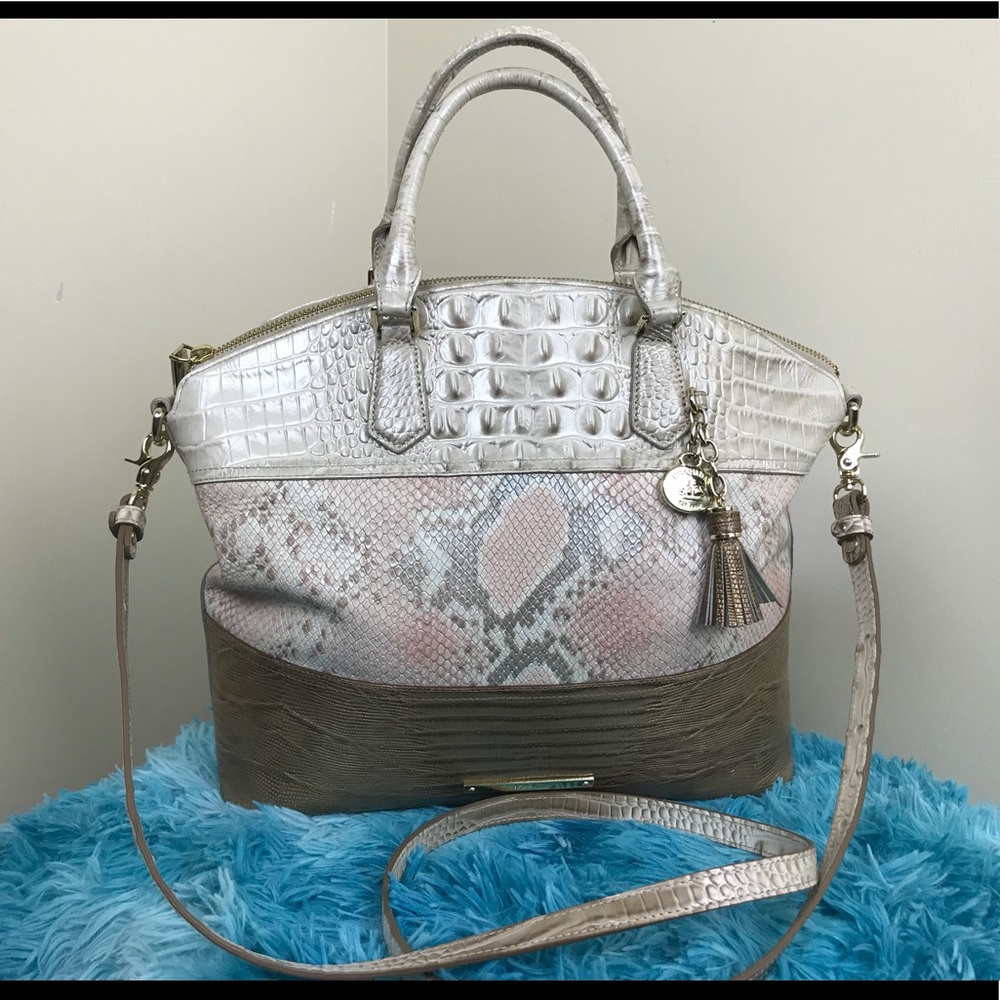 Beautiful Large Brahmin